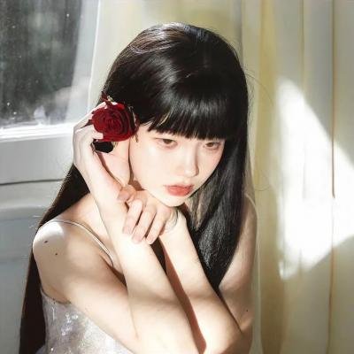 超完美暗杀队海报