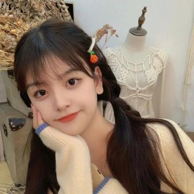 西环的故事海报